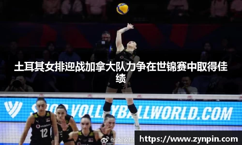 彩神VI首页官网